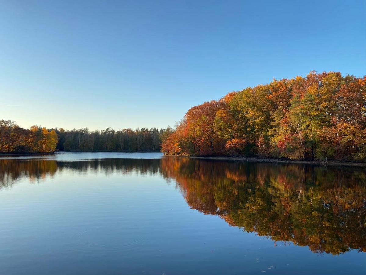 Hof Tuerke Lägenhet Moritzburg Exteriör bild