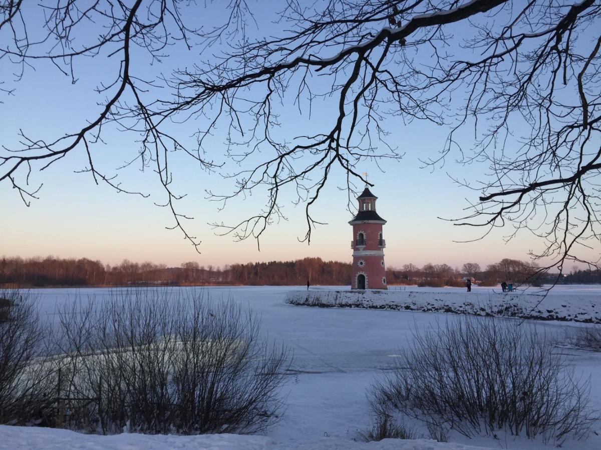 Hof Tuerke Lägenhet Moritzburg Exteriör bild