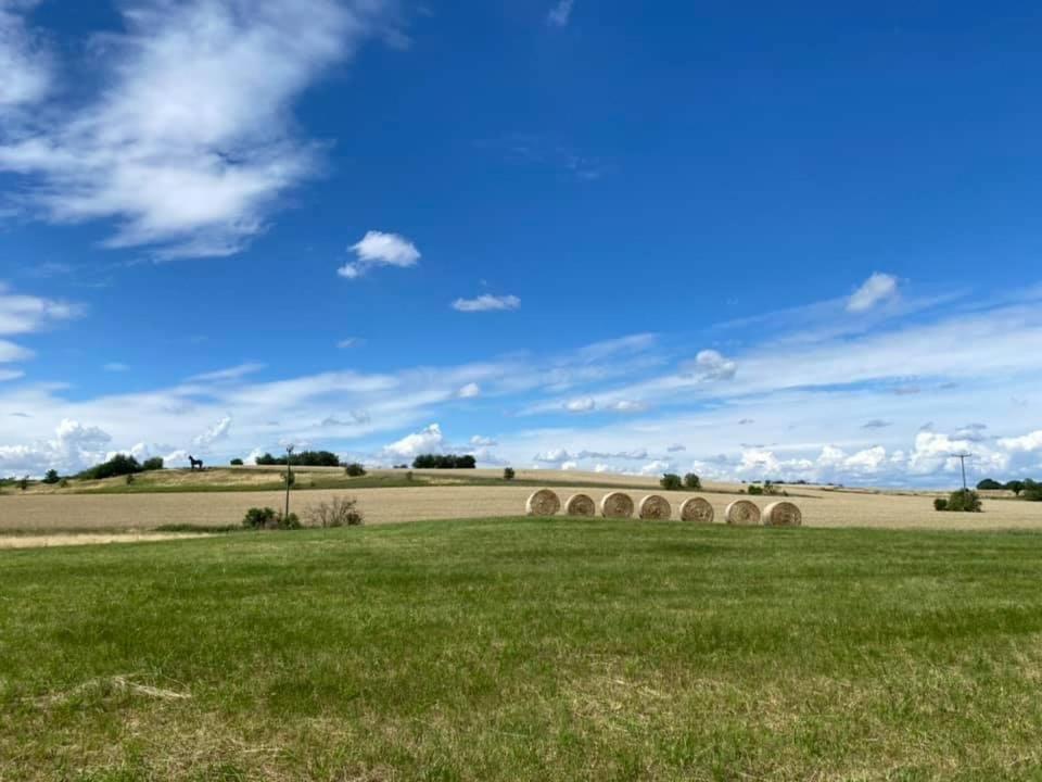 Hof Tuerke Lägenhet Moritzburg Exteriör bild